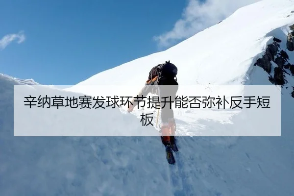 辛纳草地赛发球环节提升能否弥补反手短板